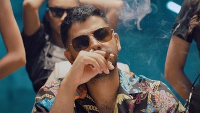 سایت مونتیگو