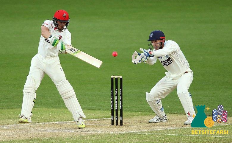 شرط بندی کریکت