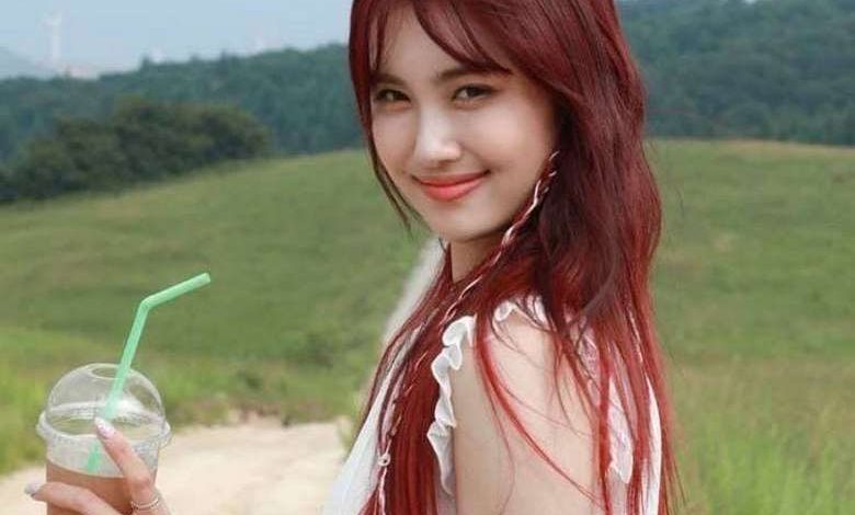 گروه توانی وان