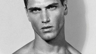 مدل های آرمانی