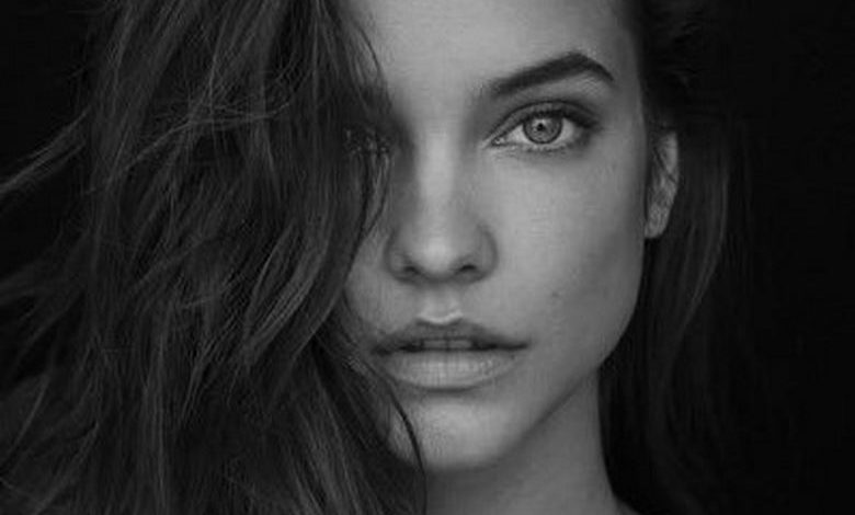 باربارا پالوین