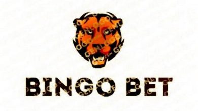 بینگو بت
