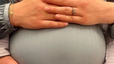 بارداری نیلوفر پارسا